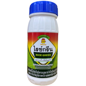 ไรซ์กรีน